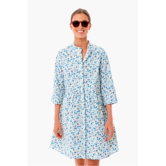 Tuckernuck Dresses & Skirts - Tuckernuck bluebell ditsy floral button down